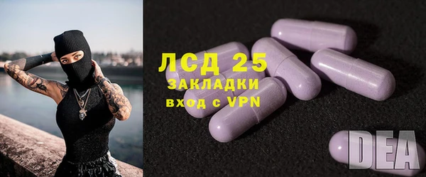 мяу мяу мука Бородино