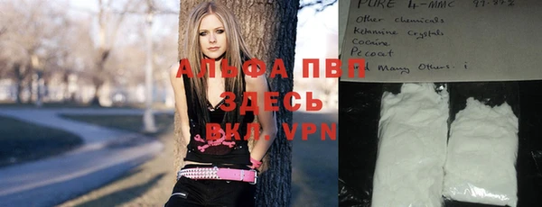 мяу мяу мука Бородино