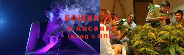 ПСИЛОЦИБИНОВЫЕ ГРИБЫ Богданович