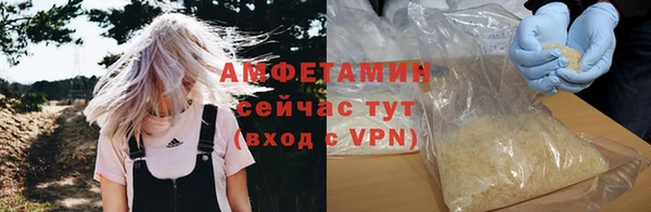 ПСИЛОЦИБИНОВЫЕ ГРИБЫ Богданович