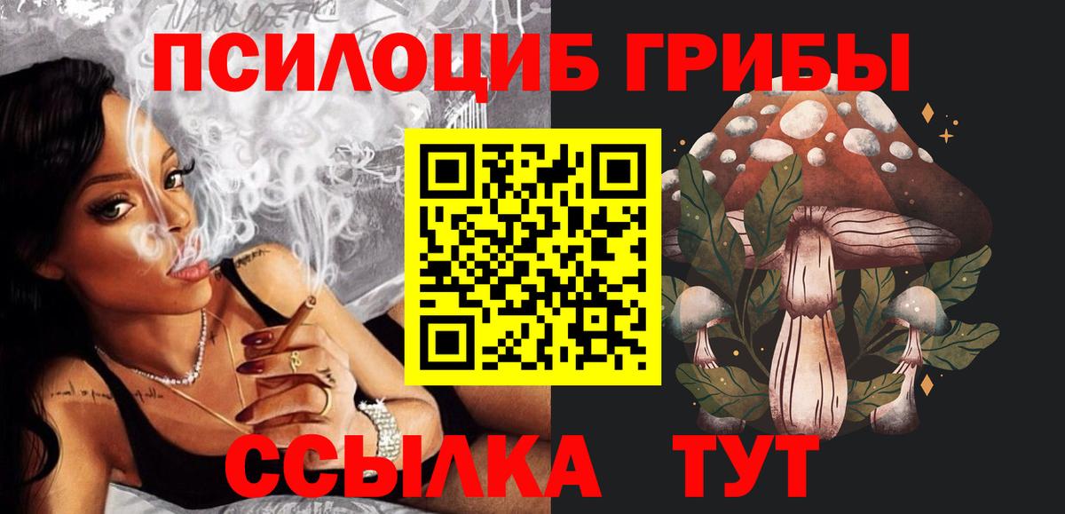 Псилоцибиновые грибы Psilocybe Вязники