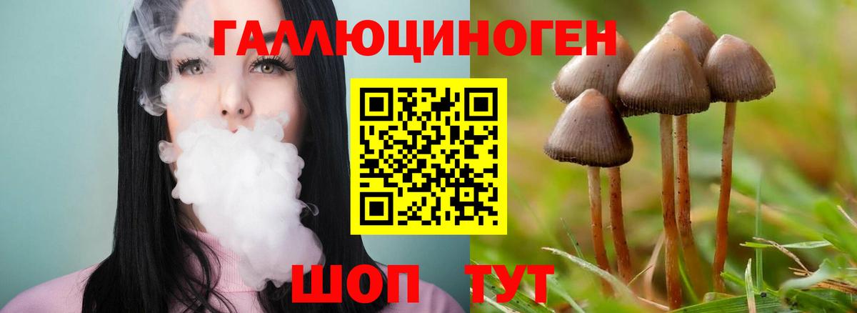 Вязники  Псилоцибиновые грибы мухоморы  Вход с VPN  Псилоцибиновые грибы MAGIC MUSHROOMS 